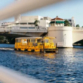 Pirate Water Taxi in Tampa