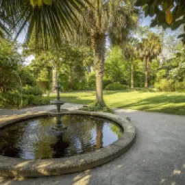 Seibels House Fountain