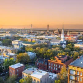 Savannah Skyline