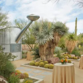 Cactus Alley reception setup, Springs Preserve, Las Vegas