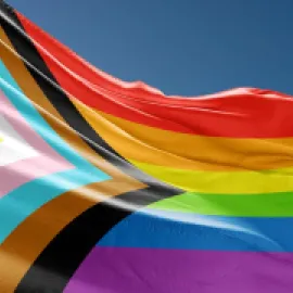 Image if inter-sex-inclusive Pride flag.