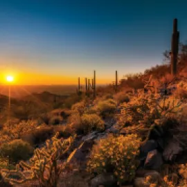 Scottsdale's McDowell Sonoran Preserve at sunset. 