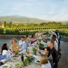 Photo of people gathered at a table for a meal, toasting each other with vineyards in the background.