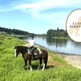 Luxury Redefined: Gritty Lessons in Incentives From Riding Castle to Castle in France’s Loire Valley 