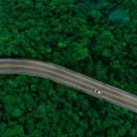 Forest drone view and car driving on the road