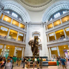 The Smithsonian Natural History Museum, with a crowd gathered around an exhibit of an elephant.