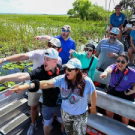Airboat tour