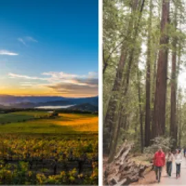 Collage of Chateau Montelena (left) and Armstrong Redwoods State Park.