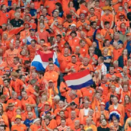soccer fans in crowd