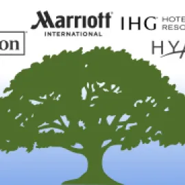 Hotel Family Tree