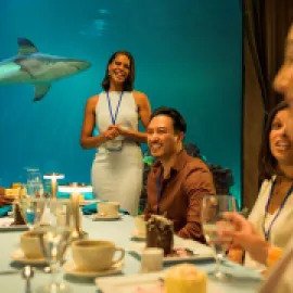 Sharks Underwater Grill SeaWorld Orlando