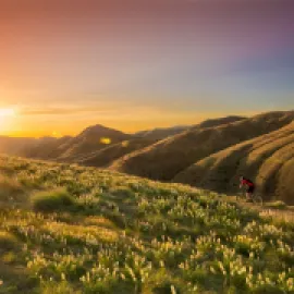 Boise foothills biking