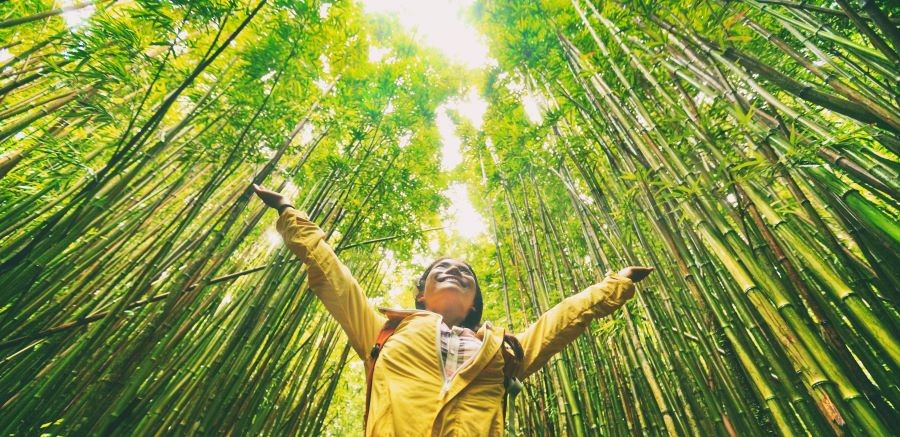 Woman walking through trees in a forest.