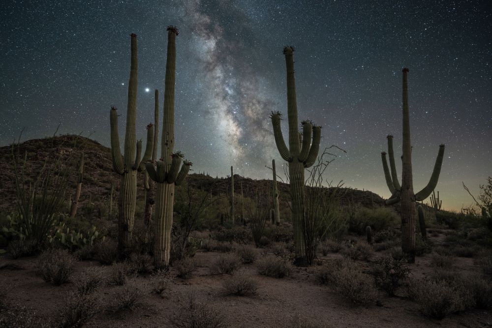 Night sky over the desert near Tucson