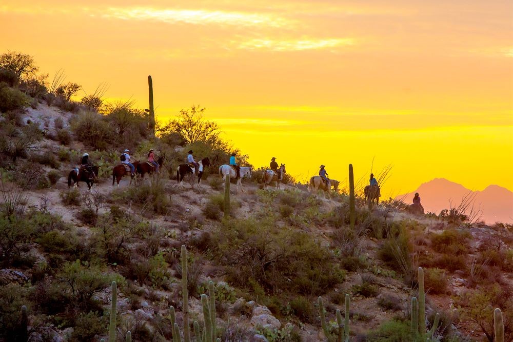 Horseback riding at Tanque Verde Guest Ranch