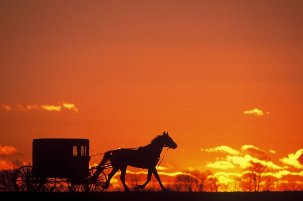 Buggy Silhouette