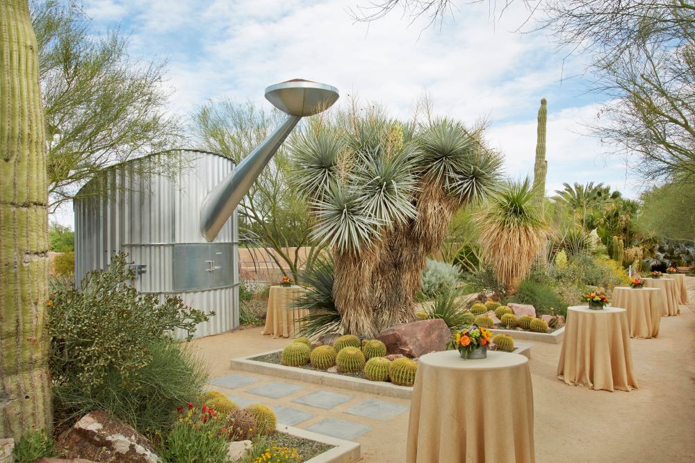 Cactus Alley reception setup, Springs Preserve, Las Vegas