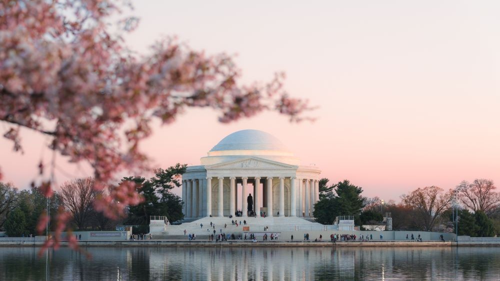 Cherry blossoms and Lincoln Memorial in Washington, D.C.