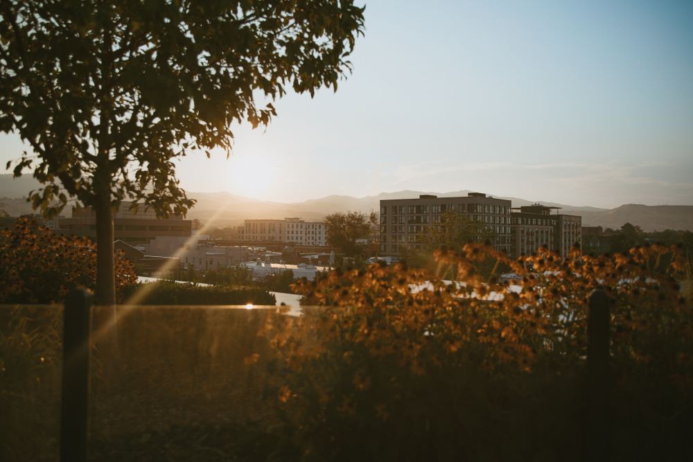 Boise at dawn