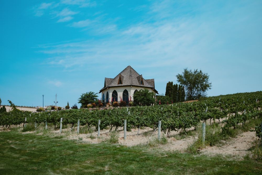 Vineyards at Sunnyslope Wine Trail