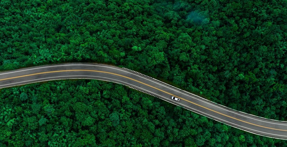 Forest drone view and car driving on the road