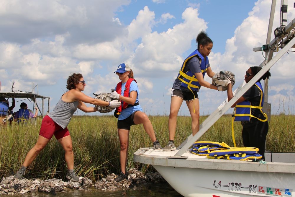 Oyster Shell Recycling Program with the Coalition to Restore Coastal Louisiana