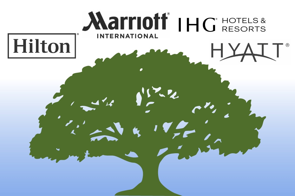 Hotel Family Tree