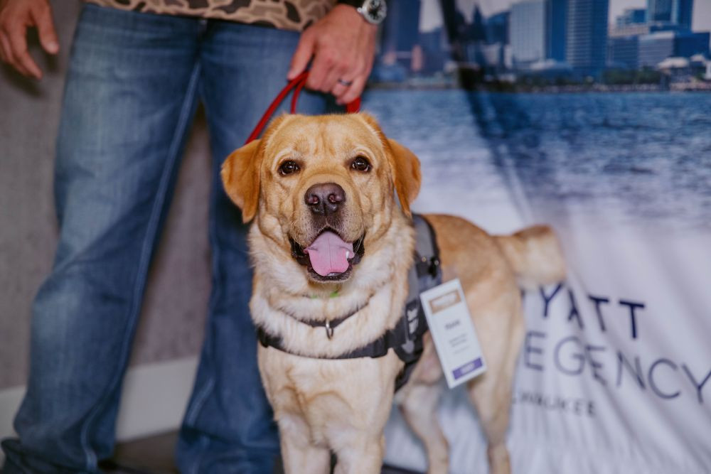 Frank the Service Dog