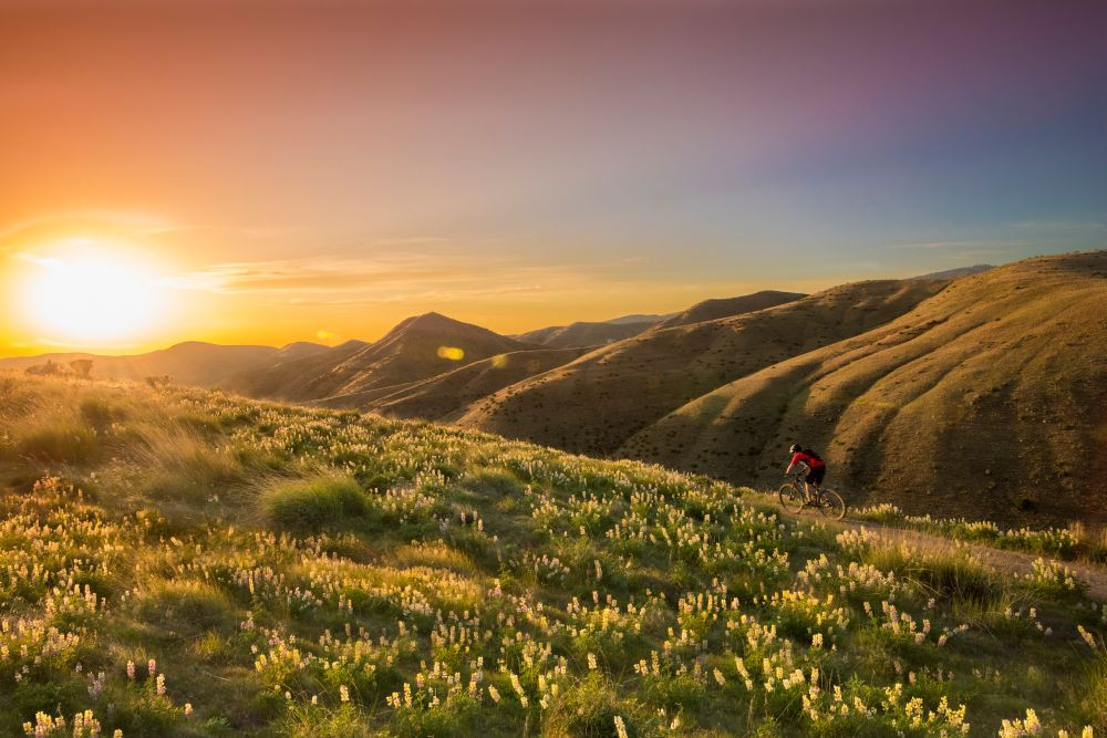 Boise foothills biking