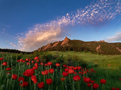 Chautauqua Poppies Trailhead