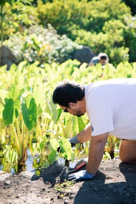 Kainoa Daines taking care of the nature of Hawaiʻi