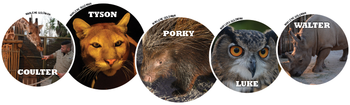 The Faces of NGALA The Faces of NGALA