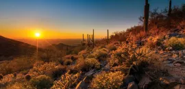 Scottsdale's McDowell Sonoran Preserve at sunset. 