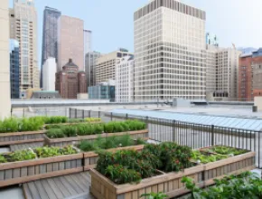 Chicago Marriott Downtown Magnificent Mile's Rooftop Garden