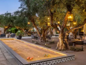 Tommy Bahama Miramonte Resort & Spa, Indian Wells - Olive Grove Patio