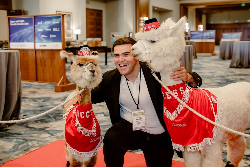 Attendee poses with alpacas