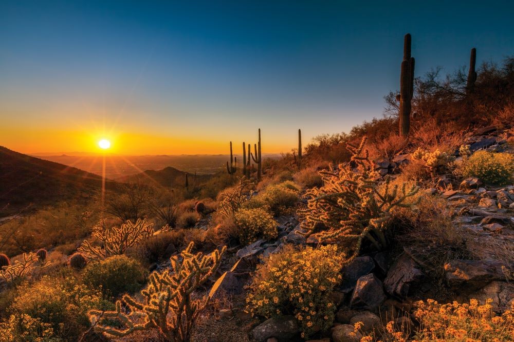 Scottsdale's McDowell Sonoran Preserve at sunset. 